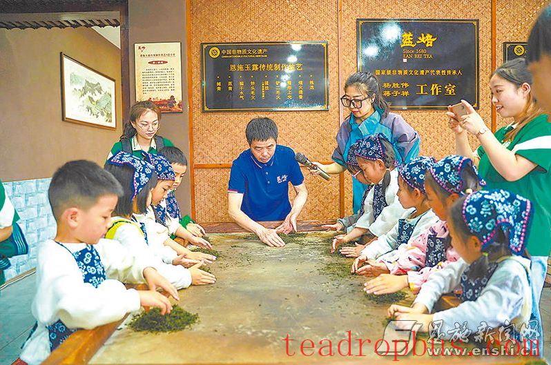 Displaying the Beauty of Ecological Diversity in Tea Mountains —— Behind the Scenes of Hubei Enshi Lanbei Yulü Taohuayuan's Selection as One of 