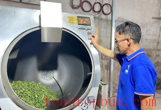Spring Tea Picking and Processing in Full Swing in Tiandamiao Township-3