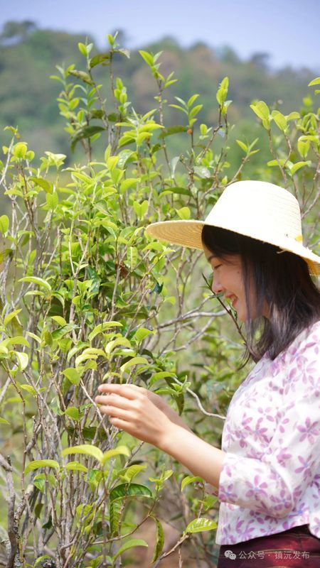 Zhenyuan County Breaks New Ground with the 