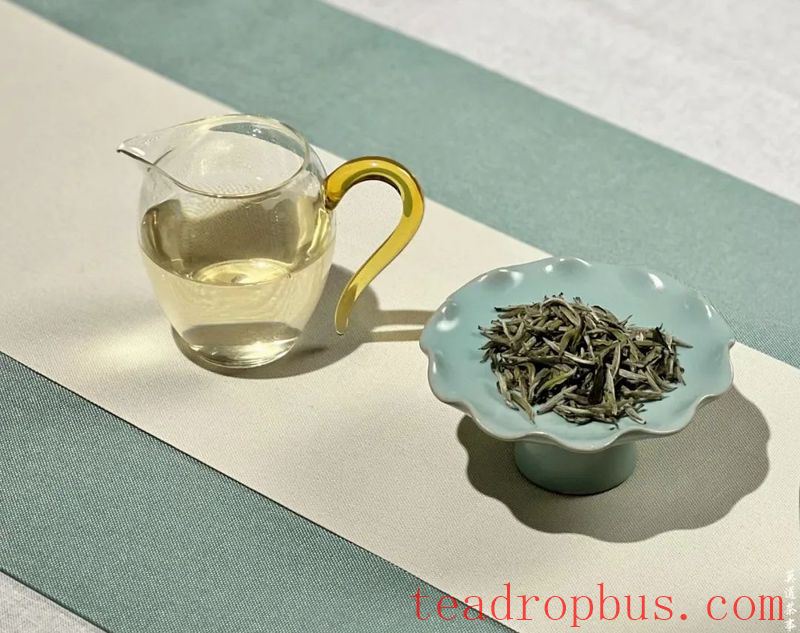 Tea Flows and Transforms: An Elegant Journey That Begins with a Cup of Tea-1