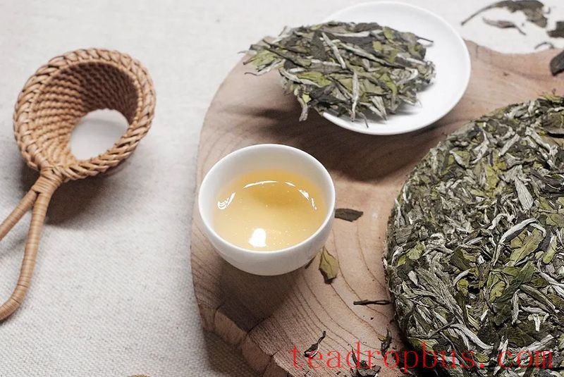 Exploring the Reasons for Coughing and Throat Discomfort After Drinking White Tea: Drink Scientifically for Good Health-1