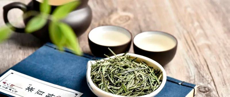 Talking About the Past and Present: Healthy Tea Drinking, Insights from Academicians in the Tea Industry-6
