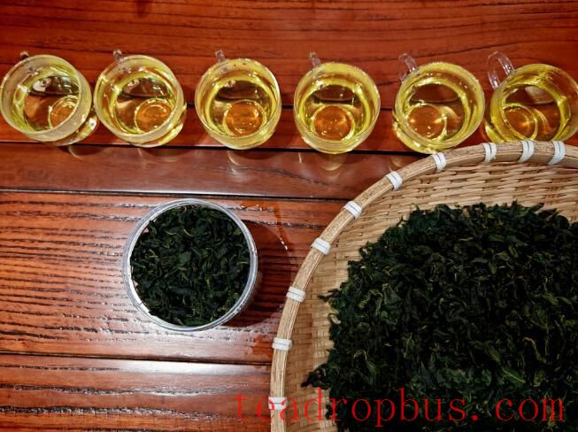 Kezuo Left Mid Banner, Inner Mongolia: Mulberry Leaf Tea Brings Prospects of Rural Revitalization-1