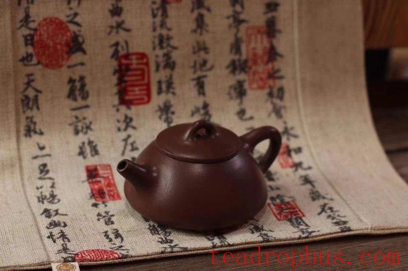 These Teapot Selection Tips Will Help You Choose the Perfect Teapot for You-2