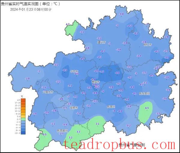 How to Cope with Low Temperatures, Snow, and Freezing Weather: This Technology Helps Protect Tea Plants-1