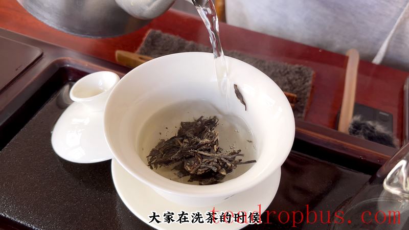 How to Drink Ban Zhang Tea: Brewing Method for Ban Zhang Large Tree Tea-6