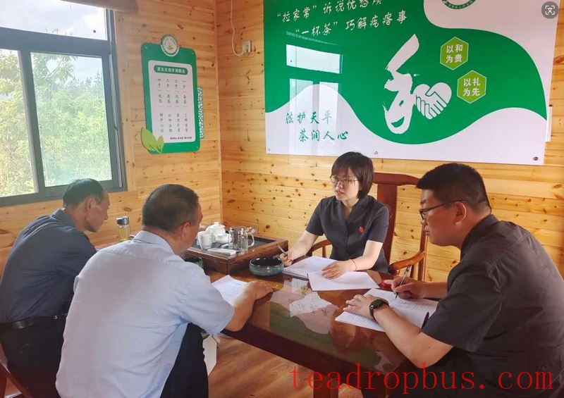 Shangnan Court Supports Tea Industry Development and Optimizes the Business Environment Under the Rule of Law-3