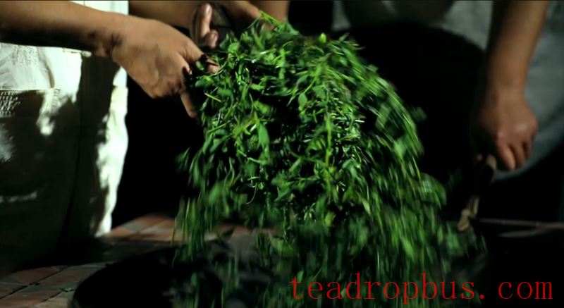 The Traditional Skills for Producing Anxi Tieguanyin Tea Successfully Included in the UNESCO Representative List of the Intangible Cultural Heritage of Humanity-6