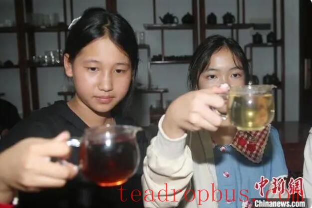 Lao-Chinese Youngsters Study Pu'er Tea Culture in Yunnan-7