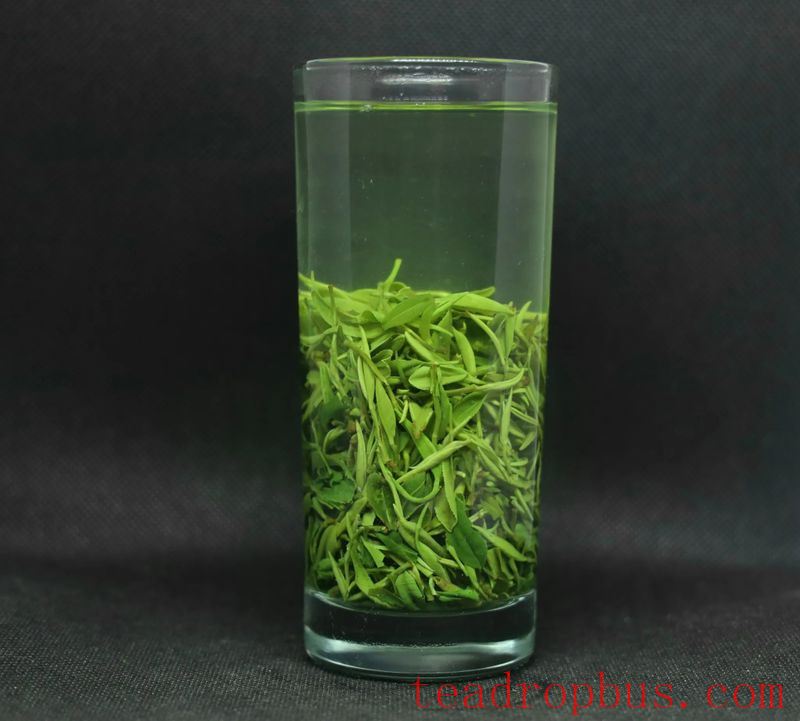 What are the benefits and effects of Xinyang Maojian?-3