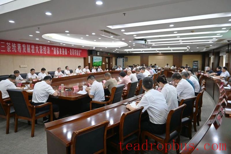 Bearing the Dreams of More Than 30,000 Tea Farmers: The County Chief and CPPCC Members Discuss the Tea Economy of Tiantai!-2