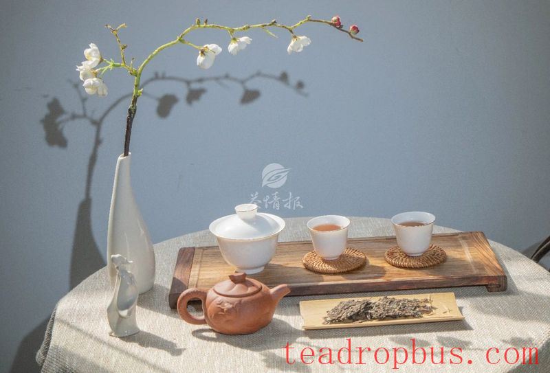 Chenpi + White Tea: The Perfect Health-Promoting Duo, Doubling Happiness-1