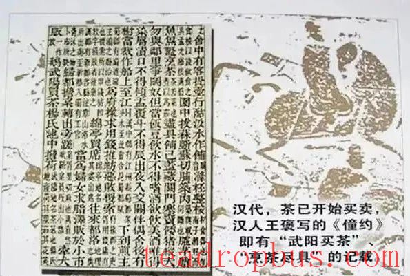 The World's First Document Proving Tea as a Commodity Originates from the Western Han Dynasty's 