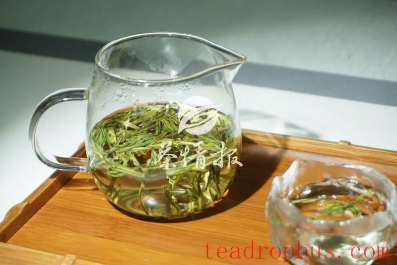 During the Dog Days, Don't Drink the Wrong Tea!-1