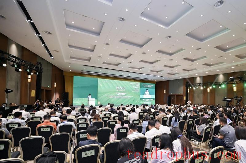 Tea and the World: Writing New Stories of Tea! The Global Communication Plan for Chinese Tea is Officially Launched-1