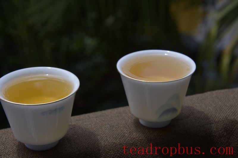 Tasting Pu'er Tea for Best Flavor-4