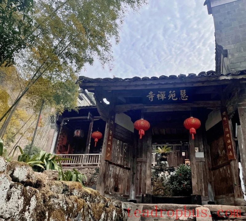 A Thousand-Year Cup of Tea —— The Indissoluble Bond Between Wuyi Rock Tea and Buddhism-4