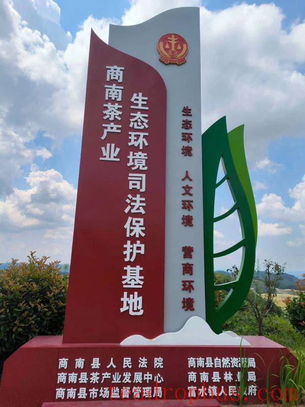 Shangnan Court Supports Tea Industry Development and Optimizes the Business Environment Under the Rule of Law-2