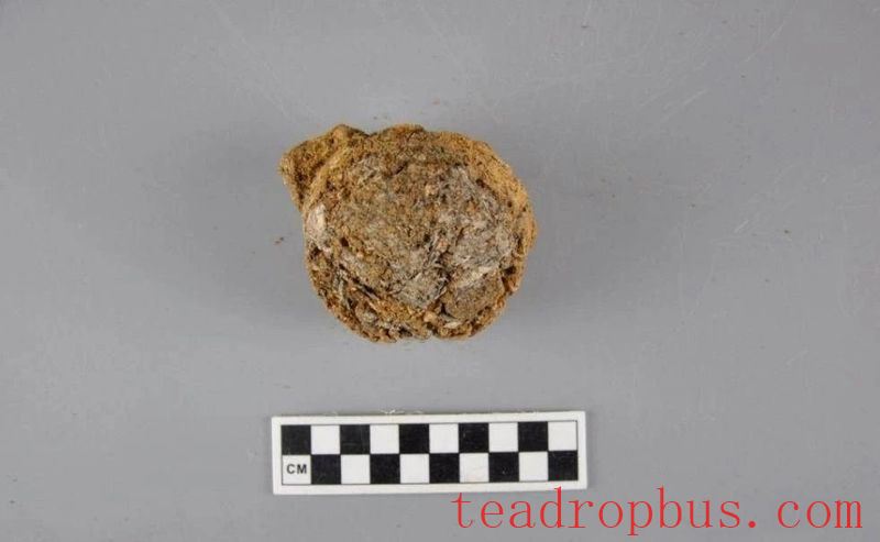 Situation of the Tea Samples Found at the Western Ridge Cemetery Site in the Ancient City of Zuduo