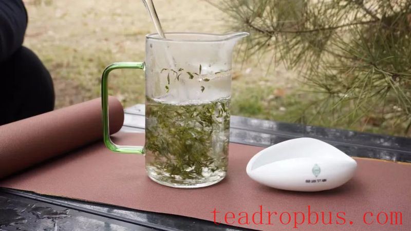 I Want to Brew a Pot of Tea and Make an Appointment in Spring-2