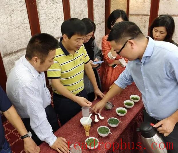 The Matcha Industry: From Time-Honored Tradition to Renewed Glory-3