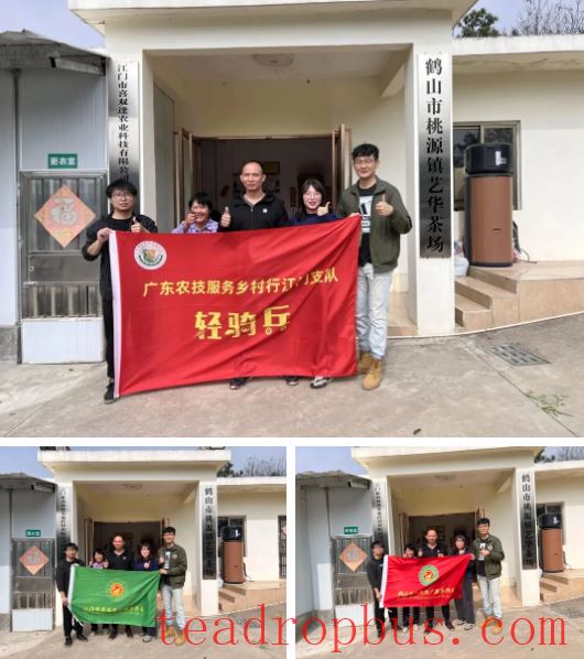 Heshan Agricultural Skills Lecture Hall — Winter Management of Wild-Released Tea Gardens-5