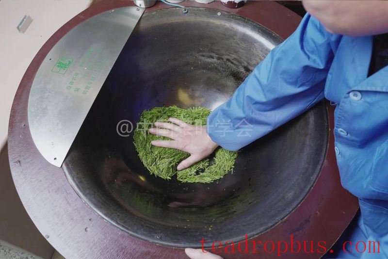 Intangible Cultural Heritage of Humanity: Traditional Chinese Tea Processing Skills - Green Tea Chapter ① – West Lake Longjing-9