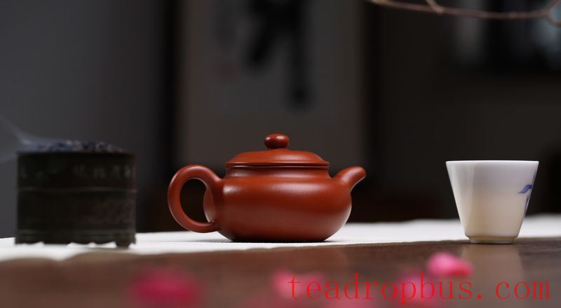 Nurturing a Zisha Teapot Should Not Pursue Speed; Unhealthy Use Can Be Extremely Harmful!-2