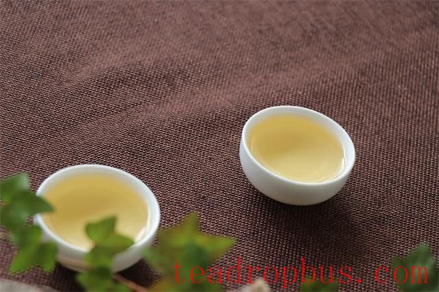 Gentle Summer Breezes and the Fragrant Tea, Savoring Life's Elegance-3