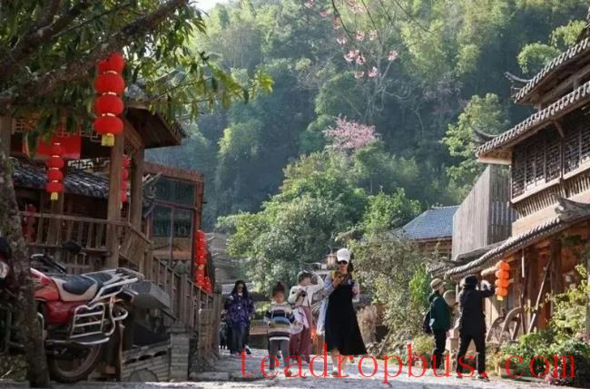 Nakeli Refreshes the Ancient Tea Horse Road: Becoming a New Highlight in Agriculture-Tourism-Culture Integration-6
