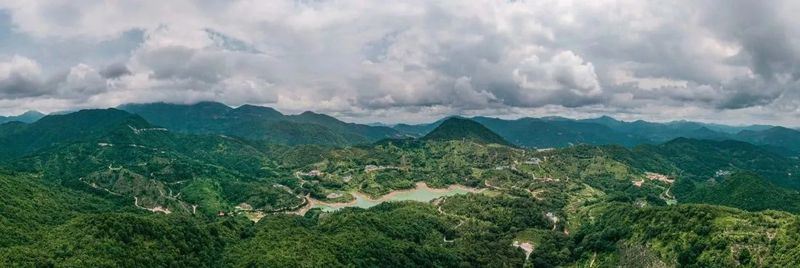 From a Niche Fragrance to Global Appreciation: The Remarkable Tea of Chaozhou Is Not to Be Underestimated-2