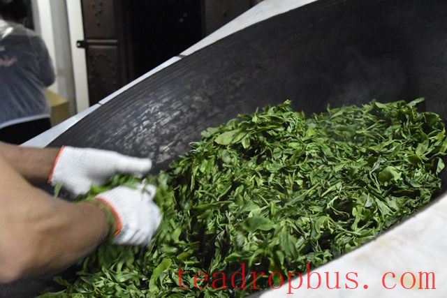 The Process of Making Green Tea-2