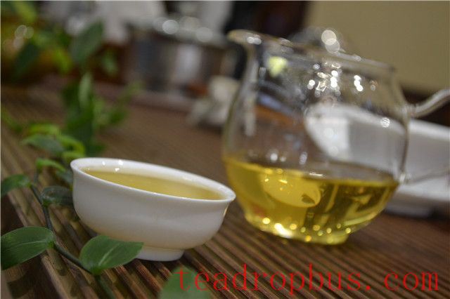 The Nature of Tea and Body Selection—Exploring the Harmony Between Tea and Constitution-3