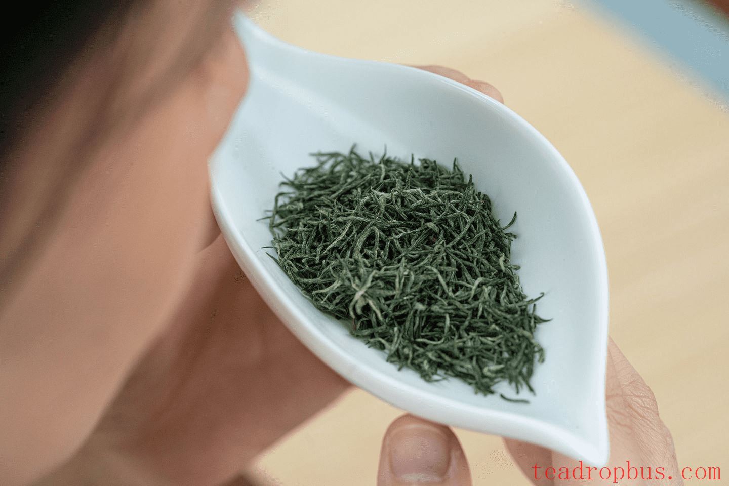 How to Brew Maojian Tea? A Complete Guide to Brewing Xinyang Maojian-2