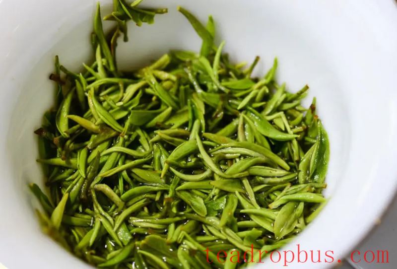 The Suitable Tea-to-Water Ratio for Green Tea, Does it Heat or Cool the Body?-2