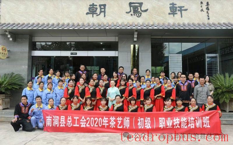 Nanjian County Implements Precision Talent-Gathering Plan to Support the Construction of a Tea Industry Workforce-8