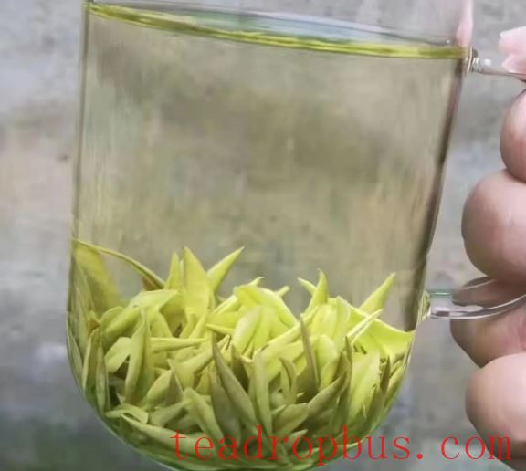 Proper Brewing Methods for Green Tea and the Best Time to Drink It-2