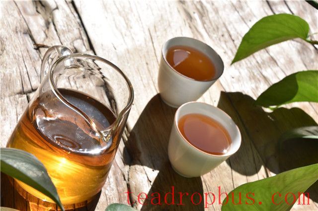 The Timeless Charm of Tea: Savoring the Ambience and Insights in Every Cup-3