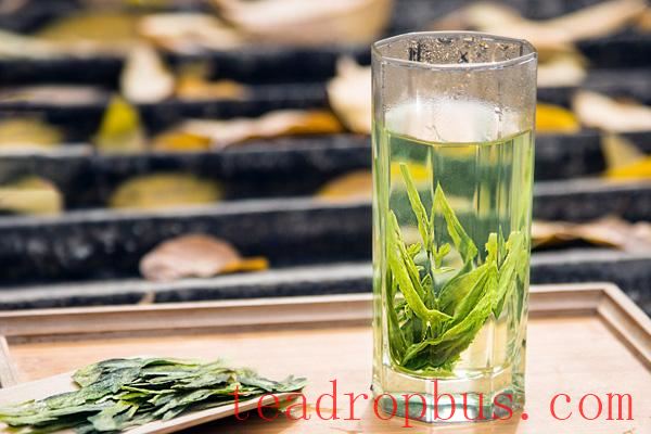 The Best Way to Brew Green Tea with Tea Ware: A Great Cup of Tea Starts Here-5