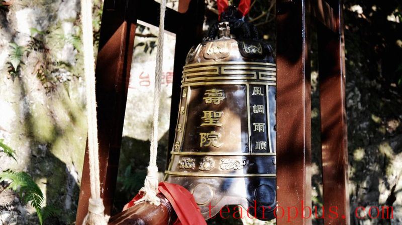Tracing the Roots of Longjing • Inquiring about Tea at Shifeng: A Leaf from Shifeng Mountain in a Past Life, Bearing Millennia of Affection in a Cup of Tea Today-5