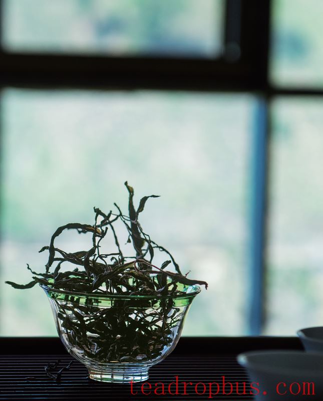 Puer Embraces the Breezes and the Moonlight, Each Cup Bears Unique Flavors-2