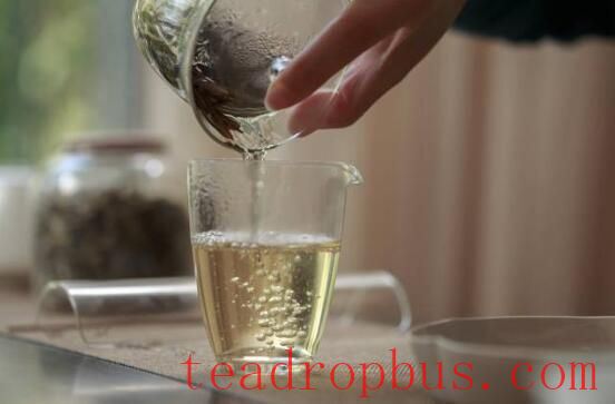 Brewing White Tea: How to Infuse for a Better Taste?-2