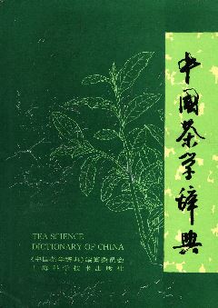 White Tea Processing: What Exactly is 