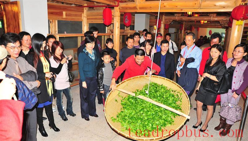 Wei Yin Tea Estate: Zen in the Aroma of Tea-15
