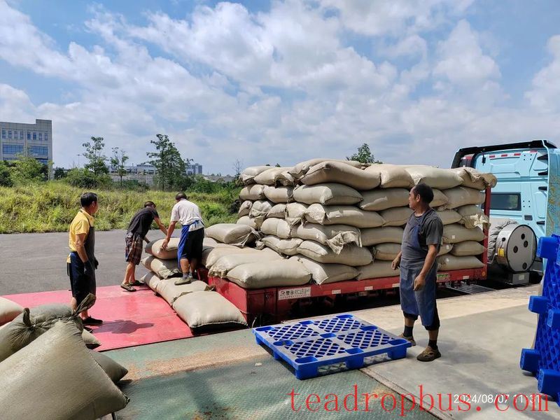 The Aroma of Zunyi Tea Reaches Uzbekistan-1