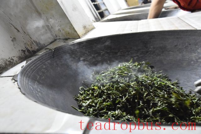 What is the Temperature for Fixation in Pu'er Tea?-3