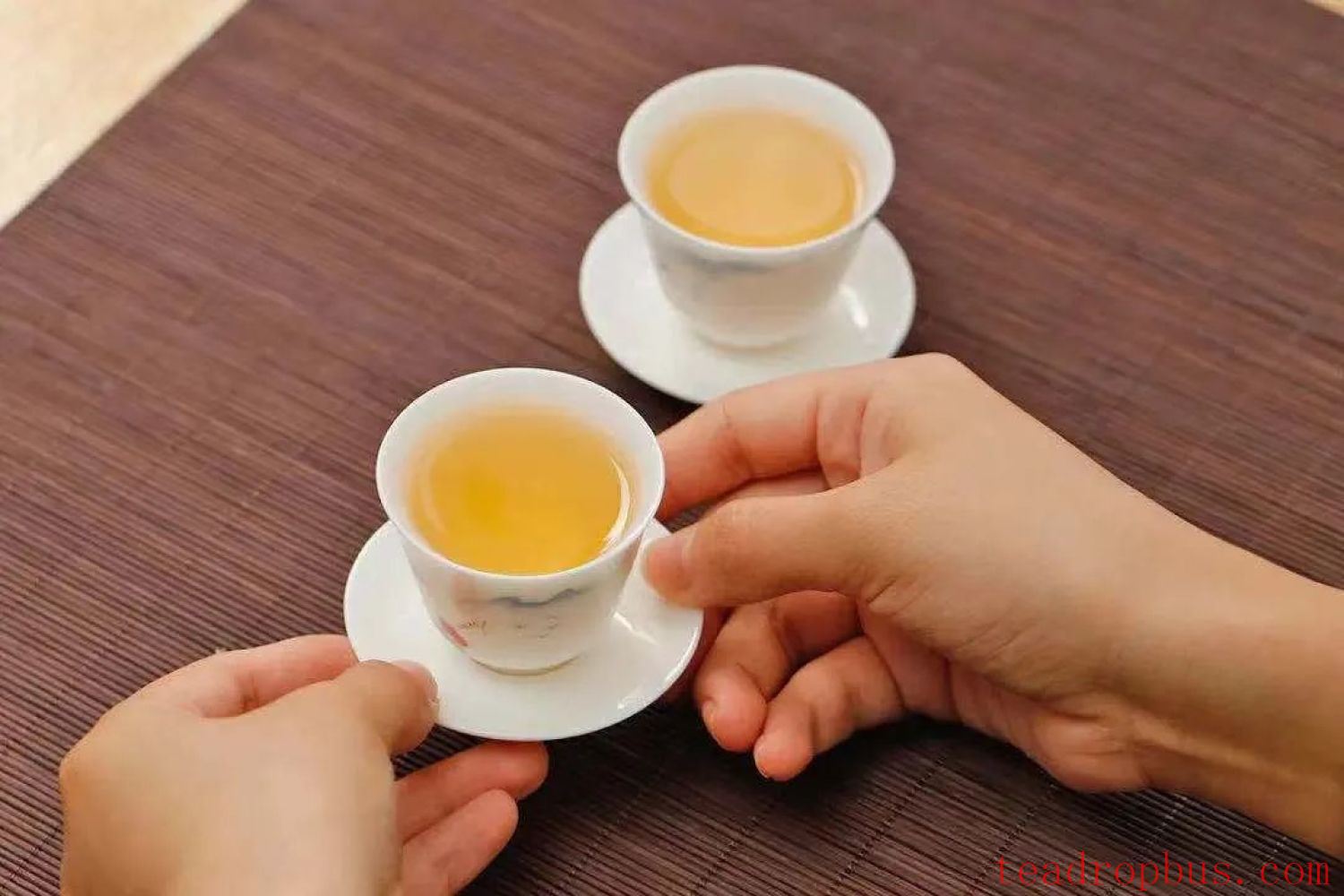 Mastering the Art of Tea Brewing: A Beginner's Training Guide-4
