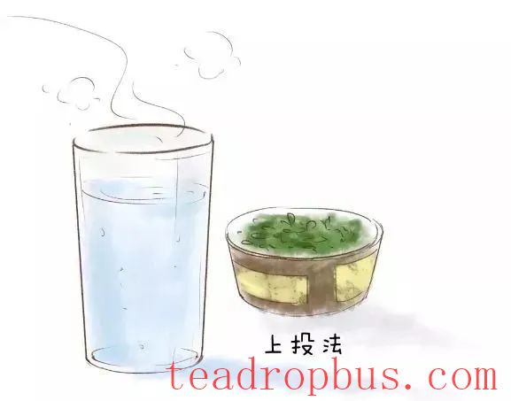 To Bring Out the True Flavor of Green Tea, These Details Are Essential!-2