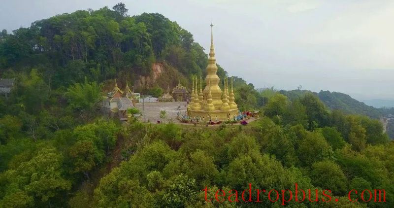 Jingmai Mountain, the Secret Hiding Place of a Thousand-Year Tea Aroma!-1