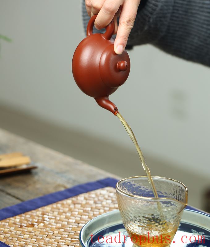Zisha Teapot Doesn't Scald Your Hands When Brewing Tea: Is This a Myth?-2